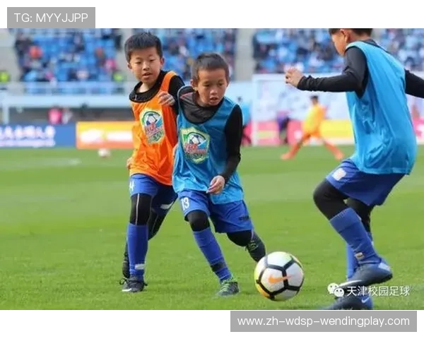 青训至职业进阶：足球鞋垫如何提升赛场表现